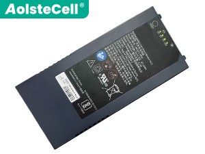 Baterie GE U80321-3R02(41NR19/66-2)