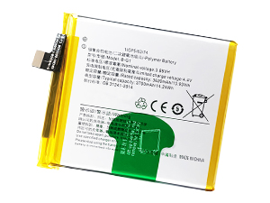 Baterie Vivo B-G1